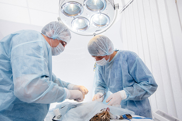 Cerrahi Operasyonlar ve Anestezi